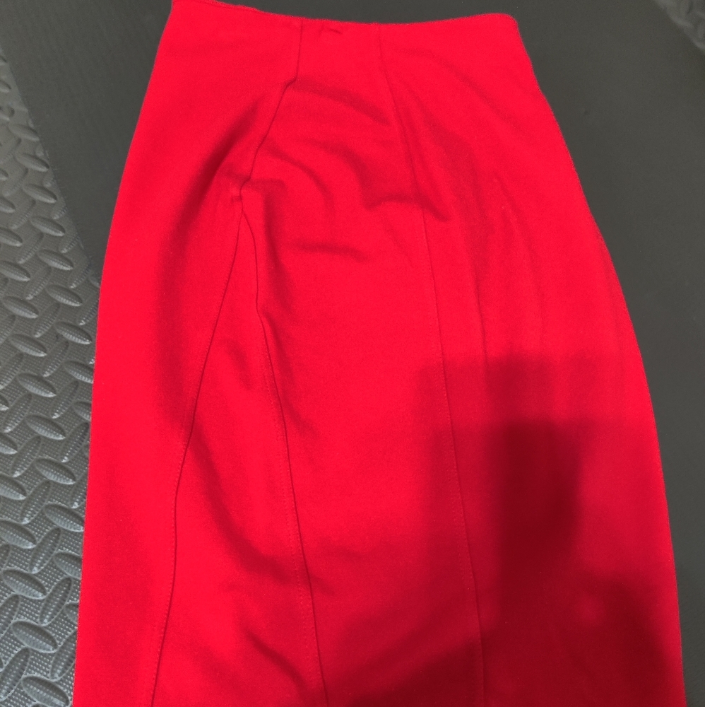 Express Red Pencil Skirt